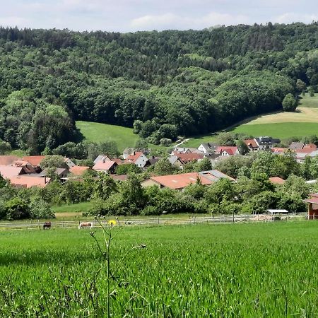 Fewo Zieger - Urlaub In Franken Apartment Buttenheim Exterior photo