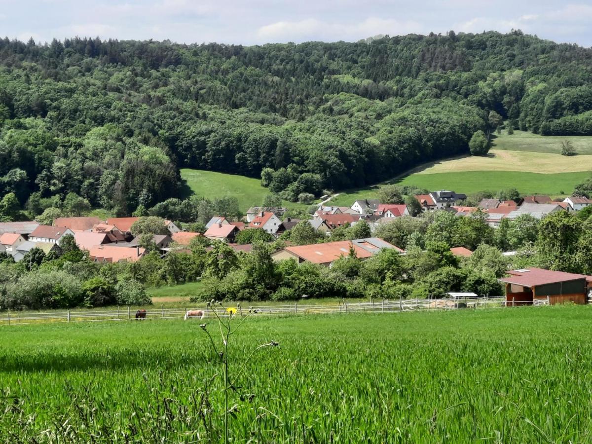 Fewo Zieger - Urlaub In Franken Apartment Buttenheim Exterior photo